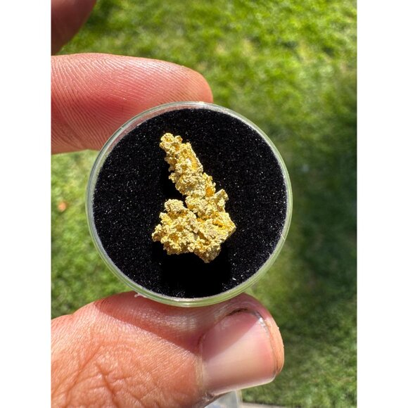 California Native Gold Crystal - 1.54 grams - Picture 5 of 7